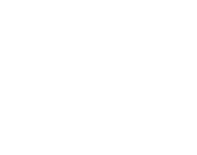 Traelecor Logo